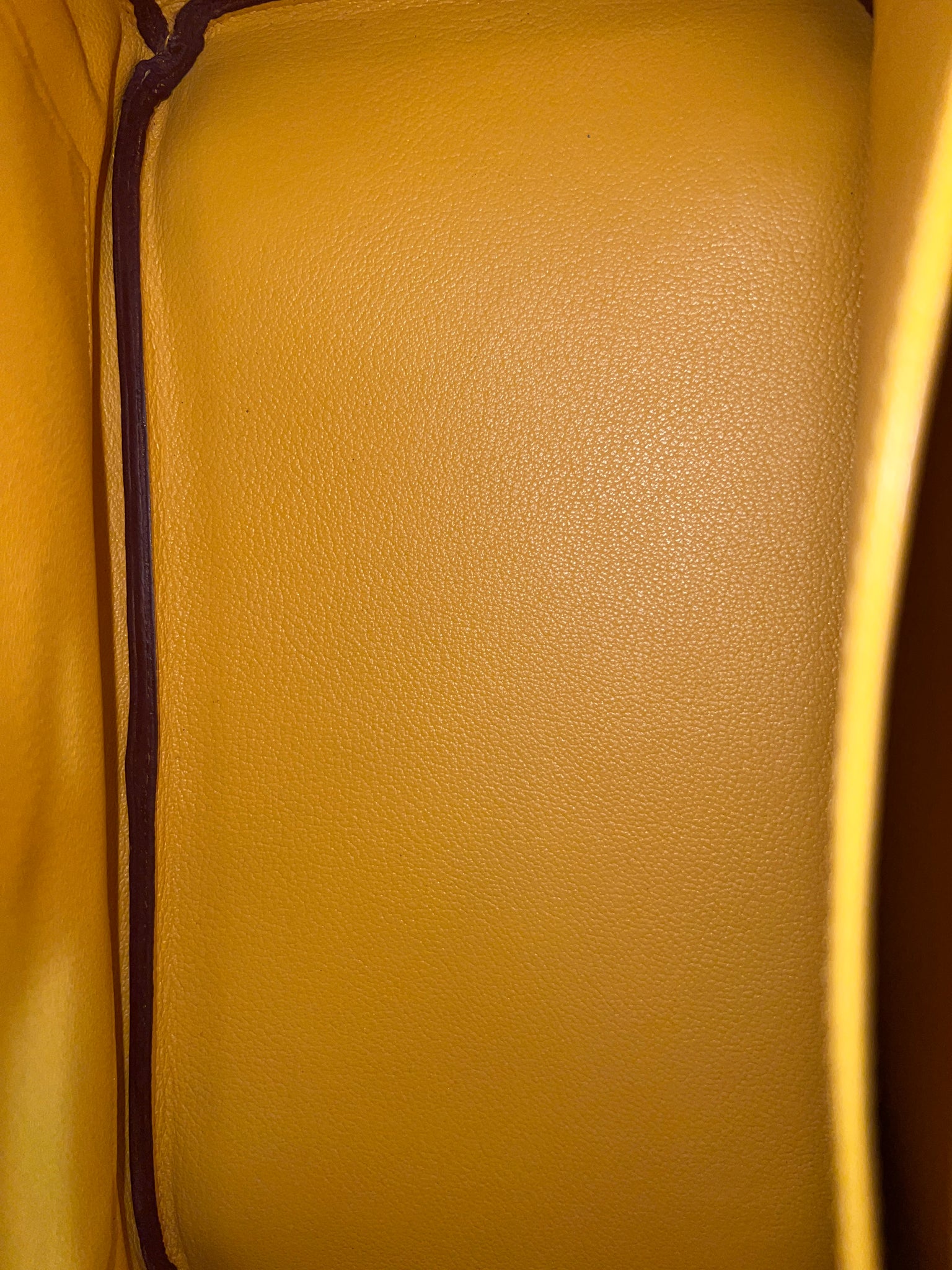 Hermes Vert Anis Taurillon Clemence Leather Birkin 35 – Season 2
